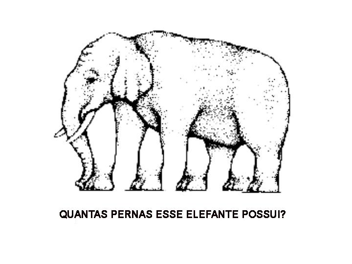 Hermenêutica - Exegese (Elefante)